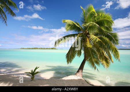 Palmen gesäumten Strand Aitutaki Cook Inseln Polynesiens Stockfoto