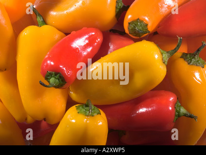 Mini süße Paprika-Makro Stockfoto