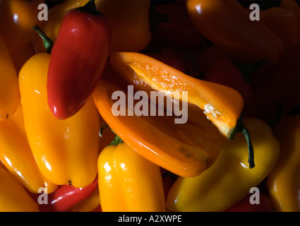 Mini süße Paprika-Makro Stockfoto