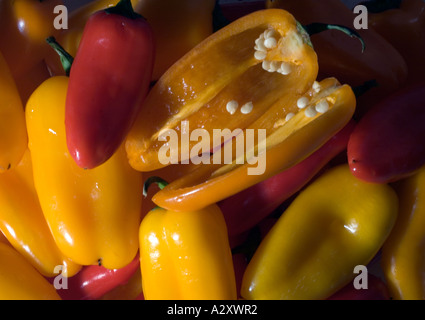 Mini süße Paprika Makro Nahaufnahme Stockfoto