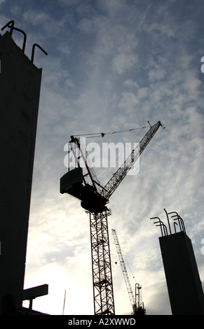 Krane auf der Baustelle Stockfoto