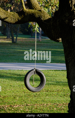 Alte Autoreifen hängt an einem Baum an einem Seil Stockfoto