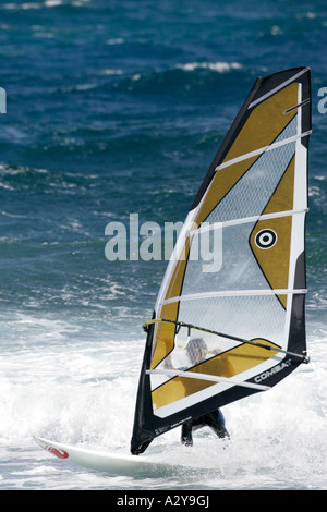 männliche Windsurfer im Neoprenanzug reitet auf seinem gold und schwarze Brett mit Geschwindigkeit im Meer vor El Medano Strand Teneriffa-Kanarische Inseln-Spanien Stockfoto