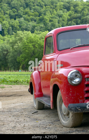 Rot 1950 s Chevrolet Modell 3100 Stepside Pickup-Truck Kiesweg North Carolina USA Stockfoto