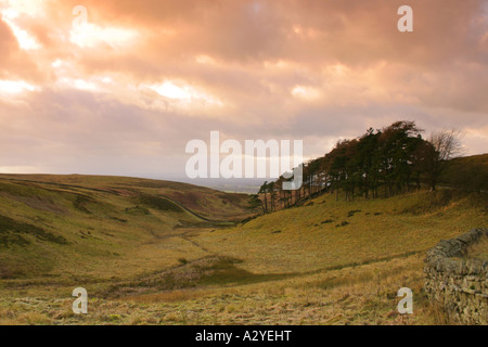 Talkin verliebte sich in den North Pennines Bereich der hervorragenden natürlichen Schönheit, Cumbria Stockfoto