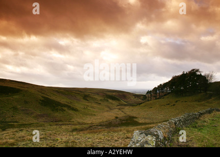 Talkin verliebte sich in den North Pennines Bereich der hervorragenden natürlichen Schönheit, Cumbria Stockfoto