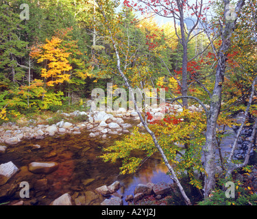 Farben des Herbstes über Swift River Stockfoto