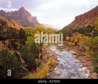 Virgin River im Herbst bei Sonnenuntergang die Wächter in der Ferne Stockfoto