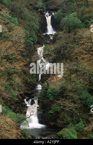 Barke fällt, Teufels-Brücke, Ceredigion, Wales, UK. Die Barke Fluss fällt 100 m in die Schlucht Rheidol. Stockfoto