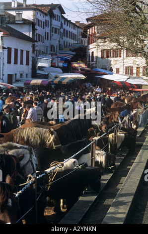 Jährliche Pottok fair, Pyrenäen Ponys, in Espelette in Französisch Pays Basque Stockfoto