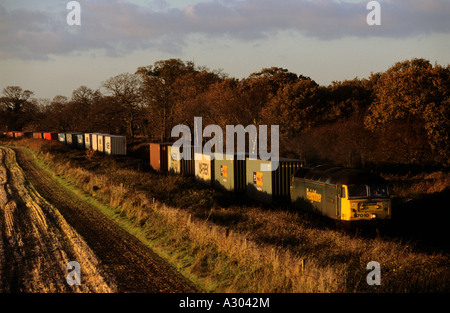 Freightliner-Güterzug auf der Ipswich, der Hafen von Felixstowe Nebenbahn am Levington, Suffolk, UK. Stockfoto