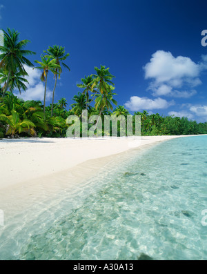 Tropischer Strand mit Palmen entlang Küste Aitutaki Lagune Cookinseln Südsee Stockfoto
