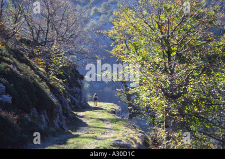 Picos de Europa in der Nähe von Sotres Wanderweg GR 71 Stockfoto