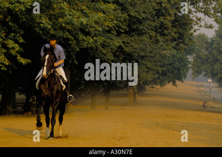 Pferd Reitpferd auf Sand Trackway neben Bäumen in rotten row Hyde Park london Stockfoto