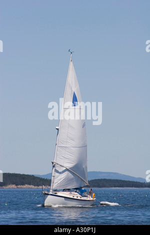 Nonesuch Segelschiff unter Segeln in Muscongus Bay, Maine Stockfoto