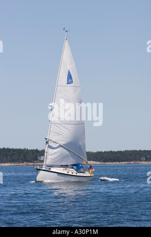 Nonesuch Segelschiff unter Segeln in Muscongus Bay, Maine Stockfoto