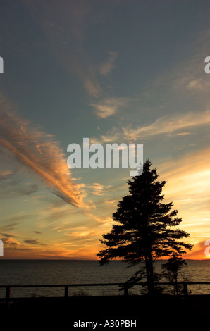 Ein Baum Silhouette gegen einen dramatischen Sonnenuntergang in New Richmond (Québec) Stockfoto