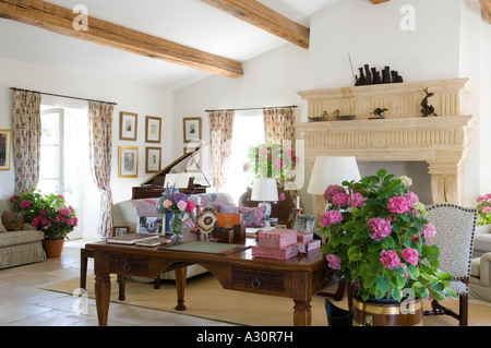 Zimmerpflanze und Schreibtisch in Holzbalken Wohnzimmer mit Kamin Stockfoto