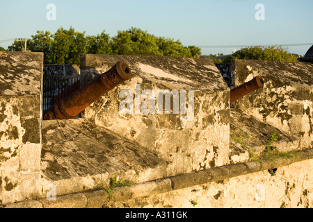Kanonen auf der Stadtmauer, die die koloniale Stadt Campeche in Mexiko umgeben Stockfoto