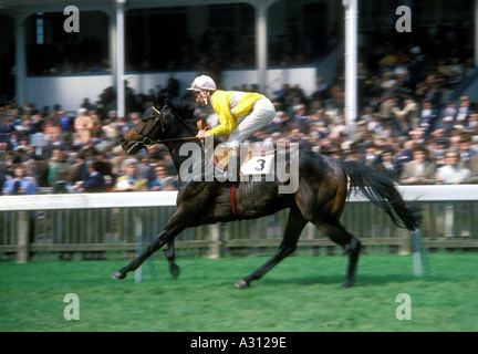 Jahrgang 1970er Newmarket Pferderennen Pferd und Jockey Edward Hide gehen zu starten Stockfoto