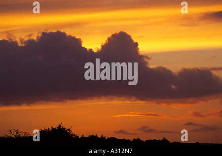 Dämmerung Skyscape über White Moor New Forest Hampshire England UK Stockfoto