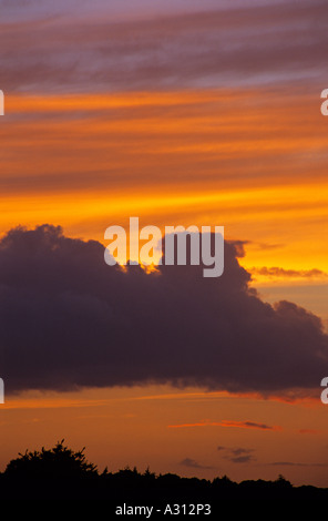 Dämmerung Skyscape über White Moor New Forest Hampshire England UK Stockfoto