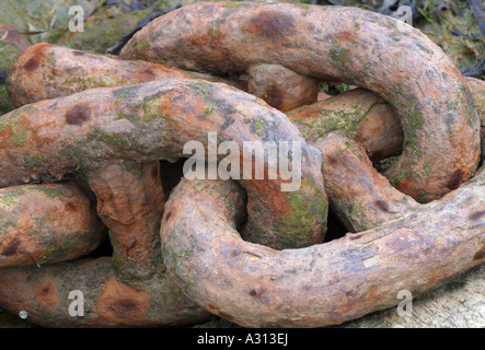 Schwere rostige Kette links Stockfoto