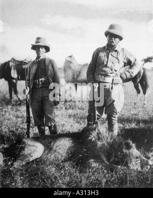 T Roosevelt Löwen 1910 Stockfoto