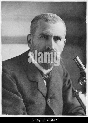 PPE Roux Nein Maitres Stockfoto