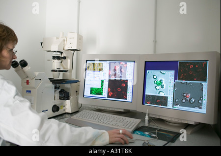 Techniker mit rechnergestützten Mikroskop im Labor Stockfoto