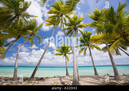 Strand Takapoto Tuamotu-Inseln, Französisch-Polynesien Stockfoto