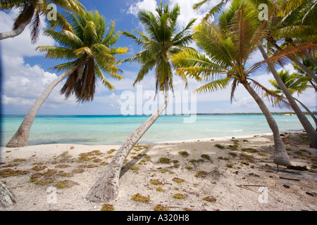 Strand Takapoto Tuamotu-Inseln, Französisch-Polynesien Stockfoto