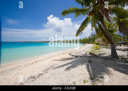 Strand Takapoto Tuamotu-Inseln, Französisch-Polynesien Stockfoto