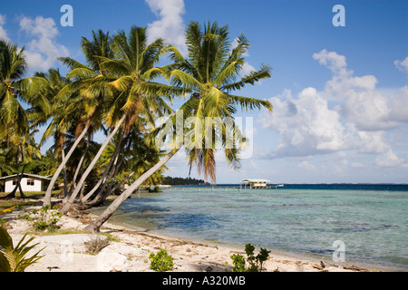 Takaroa Tuamotu-Inseln Französisch-Polynesien redaktionellen Gebrauch bestimmt Stockfoto