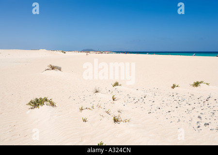 Strand und Dünen, Parque Natural de Las Dunas de Corralejo, Fuerteventura, Kanarische Inseln, Spanien Stockfoto