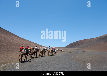 Kamel reitet im Nationalpark Timanfaya, Lanzarote, Kanarische Inseln, Spanien Stockfoto