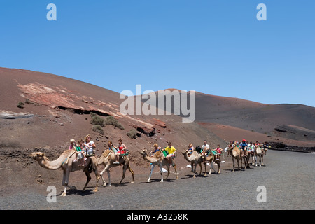 Kamel reitet im Nationalpark Timanfaya, Lanzarote, Kanarische Inseln, Spanien Stockfoto