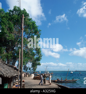 Direkt am Meer in Lamu Town, Lamu Island, North Echtheitszertifikate, t Kenia, Ostafrika Stockfoto