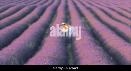 Dame im weißen Kleid im Lavendelfeld in der Provence Frankreich Stockfoto