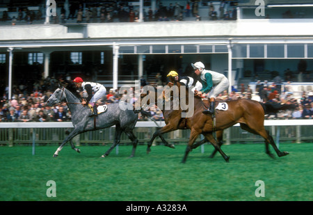 Jahrgang 1970er UK Newmarket Racecourse Pferde und Jockeys gehen an den start Stockfoto