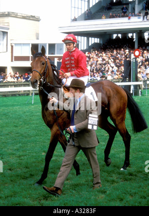 Jahrgang 1970er UK Newmarket Racecourse Admirals starten und Jockey Willie Carson geht auf die 2 000 starten Guineen Stockfoto