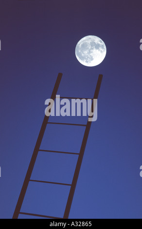 Mond und Leiter Stockfoto