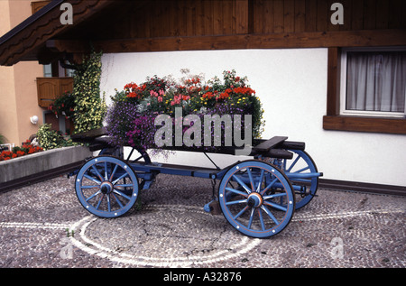 Holz Händler s Warenkorb in Molveno Norditalien jetzt als ein Übertopf für eine inländische Blütenpracht verwendet Stockfoto