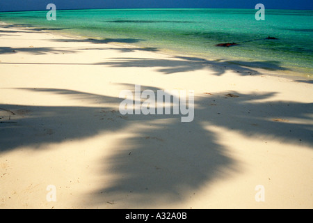 Indischer Strand Palmen schatten auf sauberem, gepflegtem weißem Sand auf Bangaram Island Lakshadweep India Asia Stockfoto