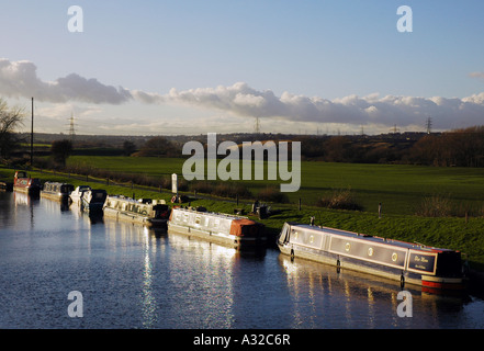 Narrowboats im Abendlicht vor Anker in Linie auf Aire und Calder Navigation West Yorkshire Stockfoto