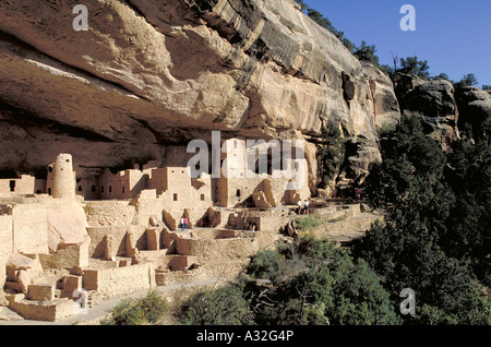 Elk226 2444 Colorado Mesa Verde NP Cliff Palace 1200 1300 Stockfoto