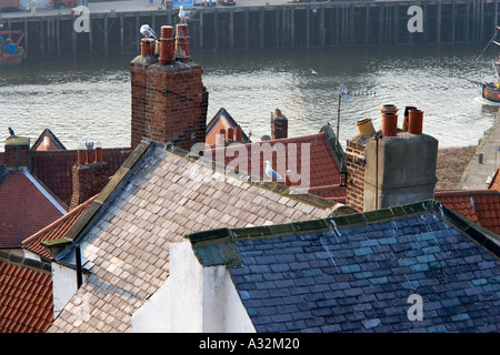 Schieferdächer und Ziegeldächer, Schornsteinstapel und Schornsteintöpfe auf den Hausdächern von erhöhter Position in Whitby Scarborough im Norden yorkshire england großbritannien Stockfoto