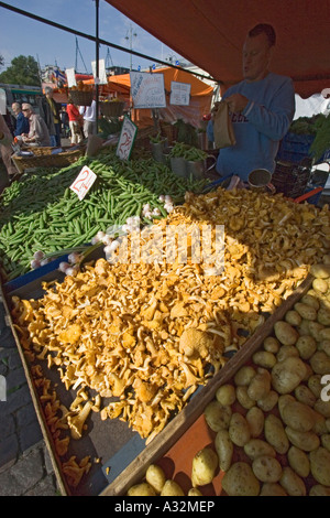 Pfifferlinge zu verkaufen in einem Straßenmarkt am Hafen, Helsinki Finnland Stockfoto