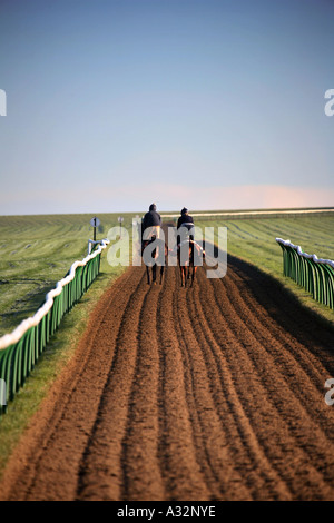 Zwei Rennpferde galoppieren aus entlang des Galopps Warren Hill training Boden, Newmarket, Suffolk, England, UK Stockfoto