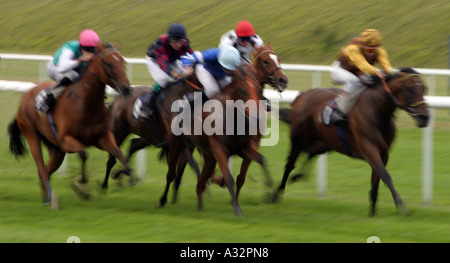 Pferderennen UK; Motion Blur in einem flachen Rennen, Newmarket Juli Rennbahn, Newmarket, Suffolk England Stockfoto
